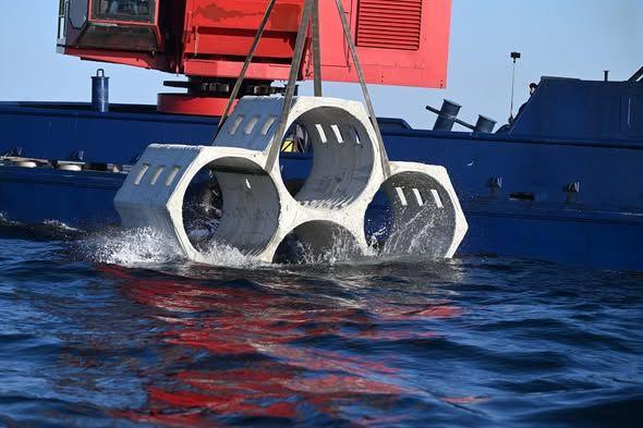 3D Printed Coastal Protection