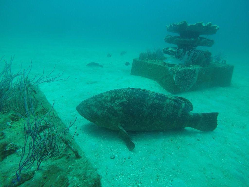 Grouper Reef artificial habitat structure resting on the seafloor