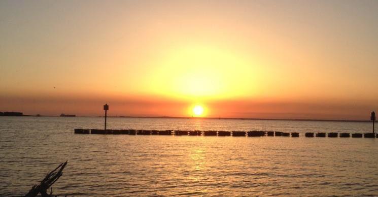 EcoSystems wave attenuation system protecting a shoreline at sunset